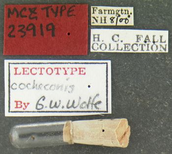 Media type: image;   Entomology 23919 Aspect: labels